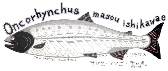 oncorhynchus　masou ishikawae サツキマス