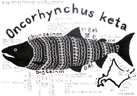 oncorhynchus keta　シロザケ