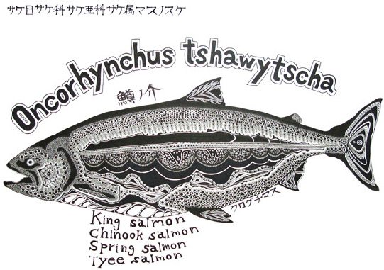 oncorhynchus　tshawytscha　マスノスケ