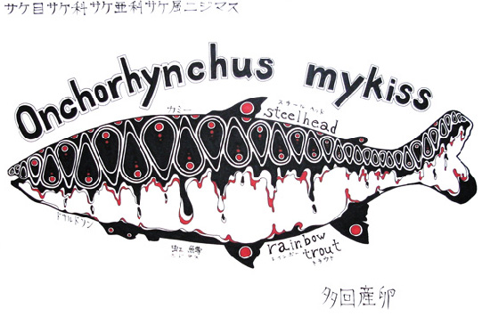 oncorhynchus mykiss　ニジマス