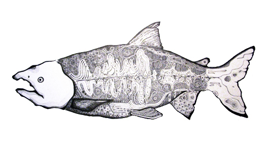 奇紋鮭